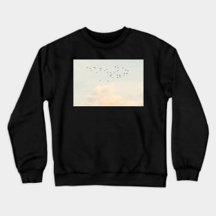 Flock of Birds Crewneck Sweatshirt